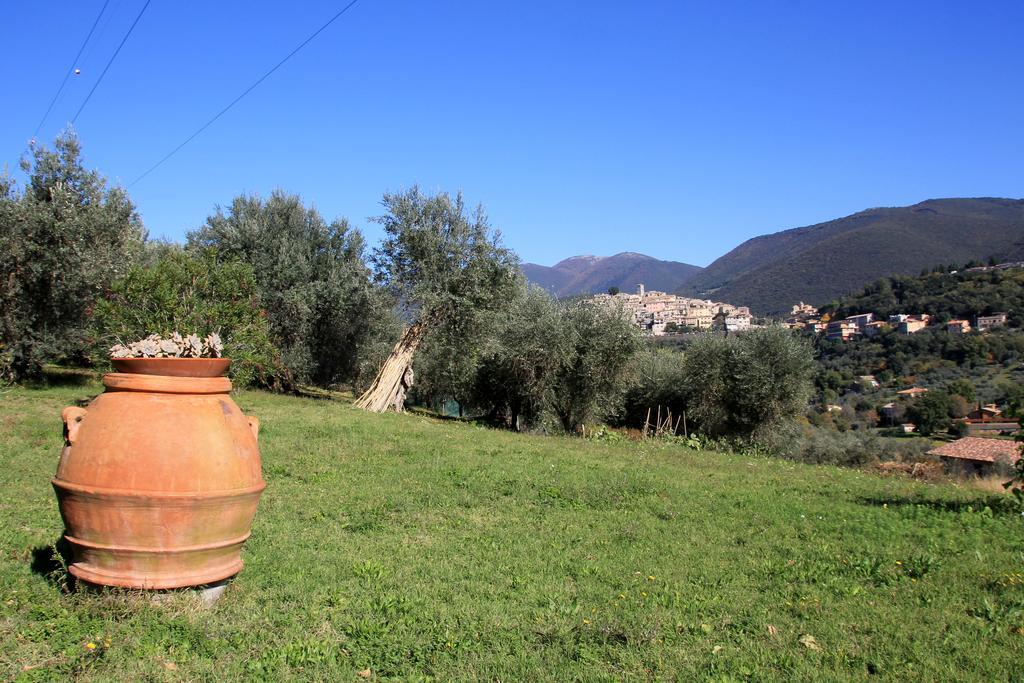 B&B Colle Perrini Country House Casperia Exteriör bild