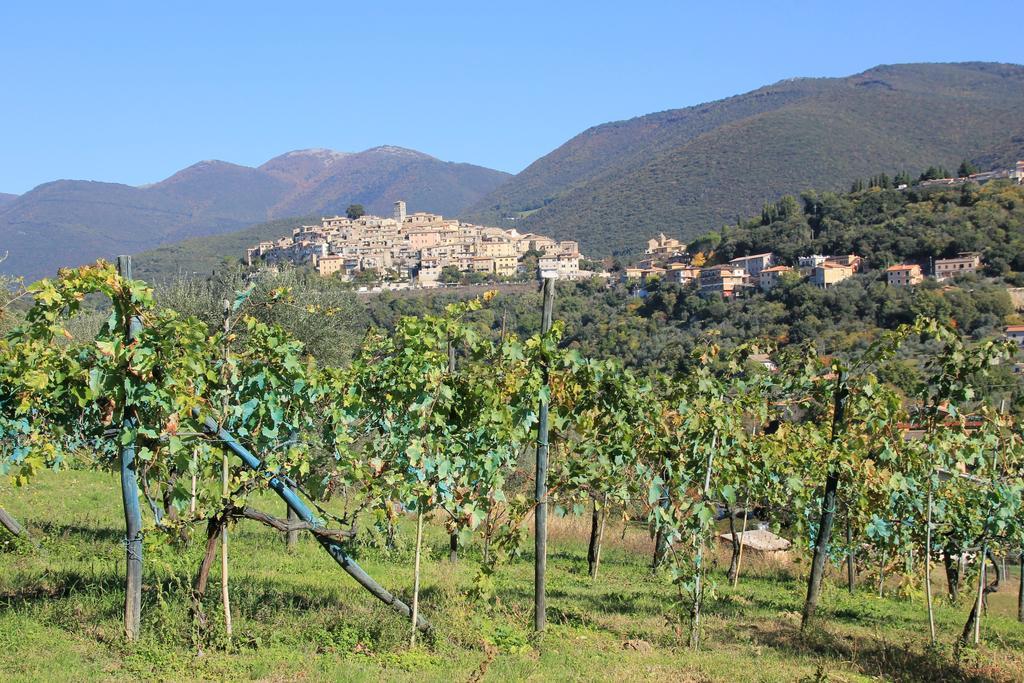 B&B Colle Perrini Country House Casperia Exteriör bild