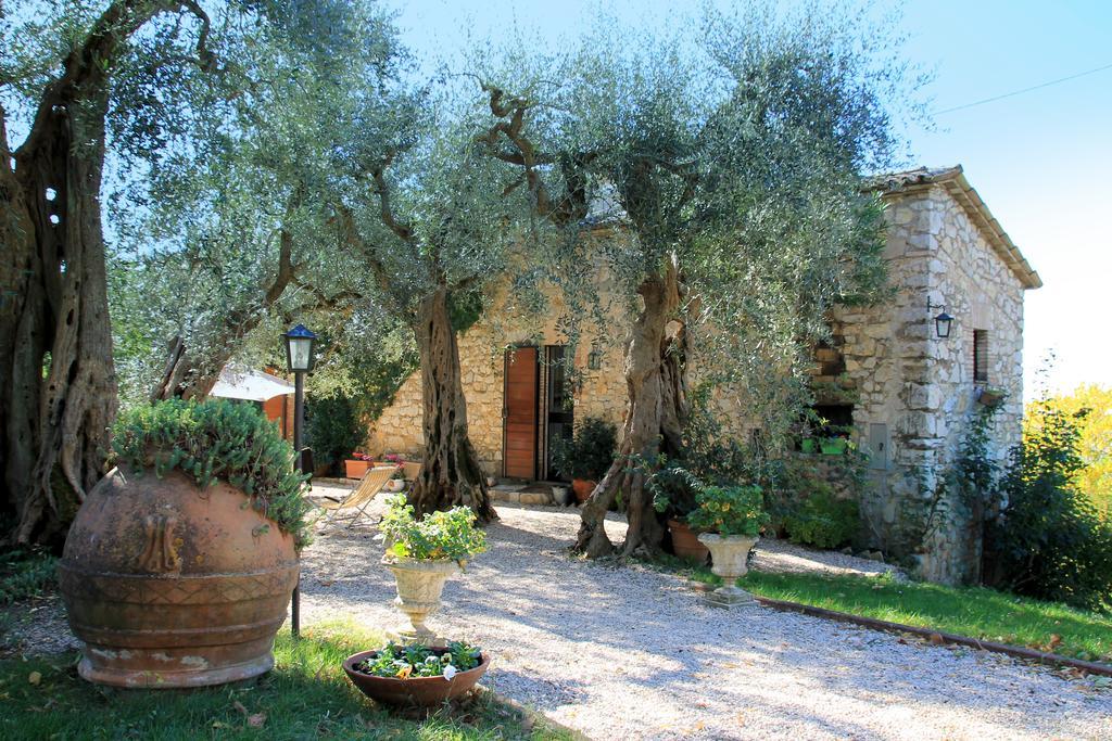 B&B Colle Perrini Country House Casperia Exteriör bild